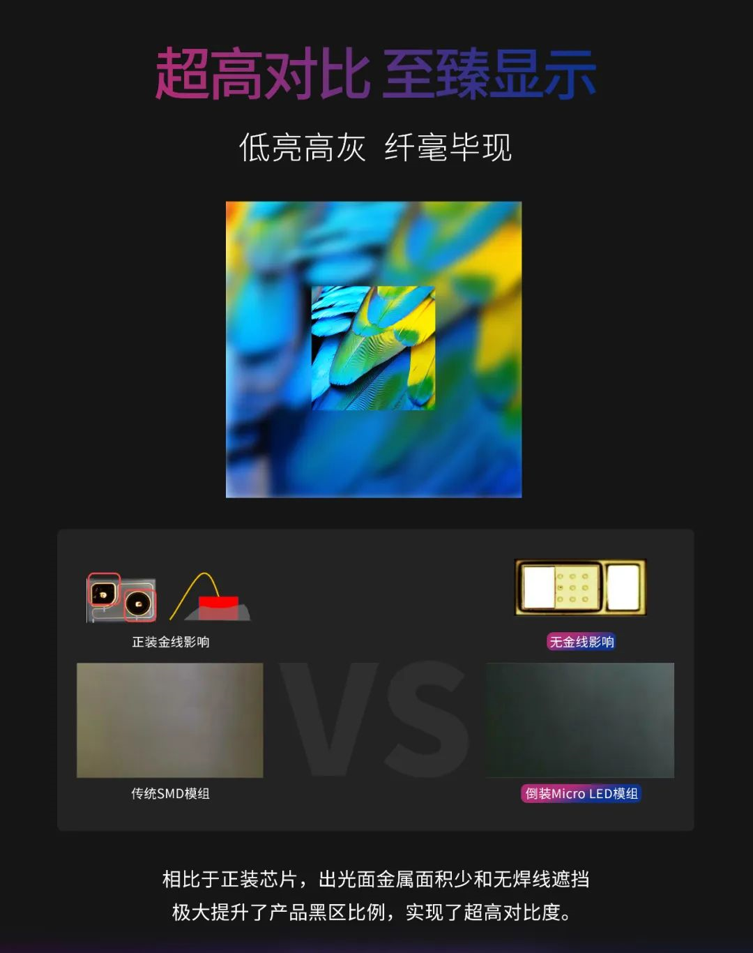 一期一会 | 一图读懂尊龙(中国)时凯·利晶MIP新品系列
